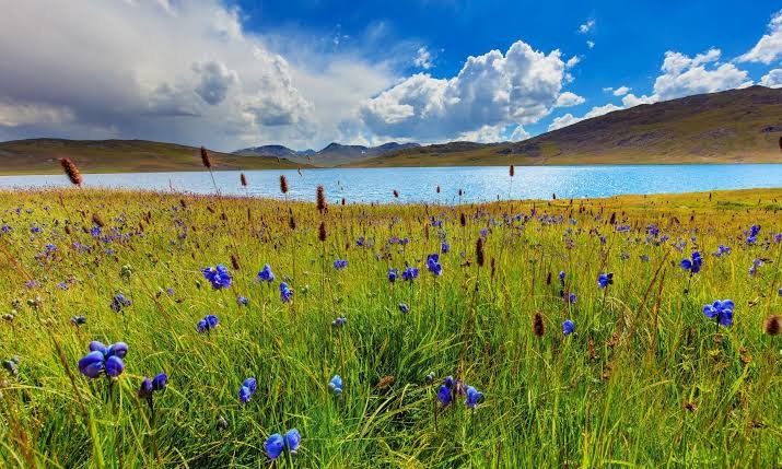 Deosai-National-Park-Pakistan