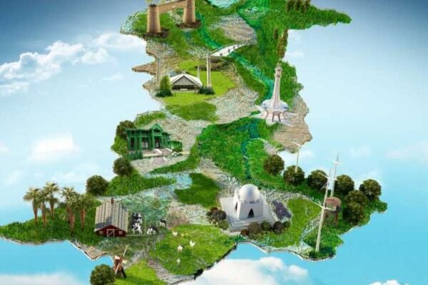 pakistan Domestic tour